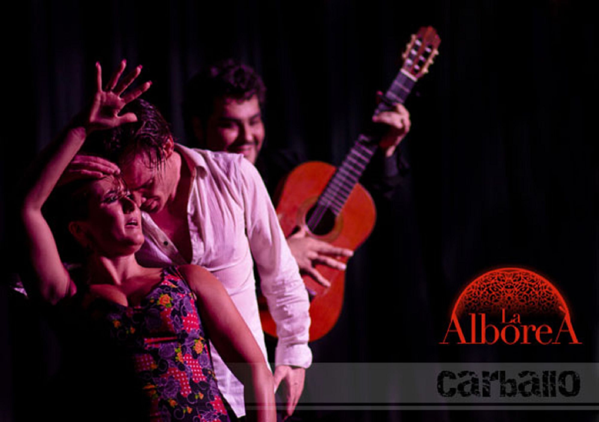 book booking Flamenco Show in Granada tablao La Alboreá Tickets granada